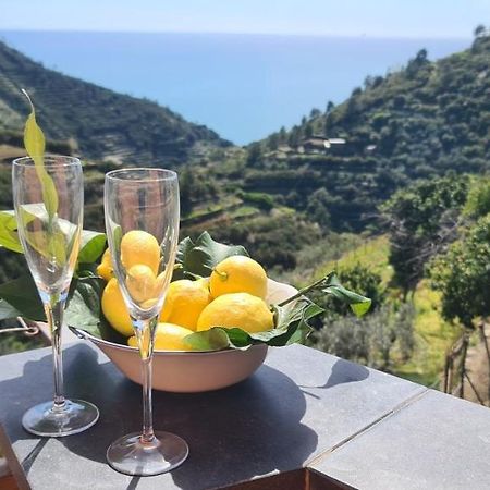 فيلا ☆ Terrace & Relax ☆ Casa Franceschin_ Homy 5 Terre ريوماجّوري المظهر الخارجي الصورة