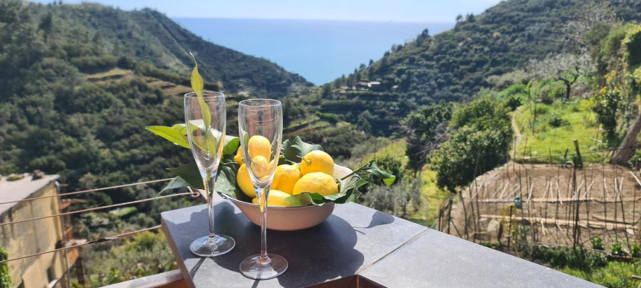فيلا ☆ Terrace & Relax ☆ Casa Franceschin_ Homy 5 Terre ريوماجّوري المظهر الخارجي الصورة